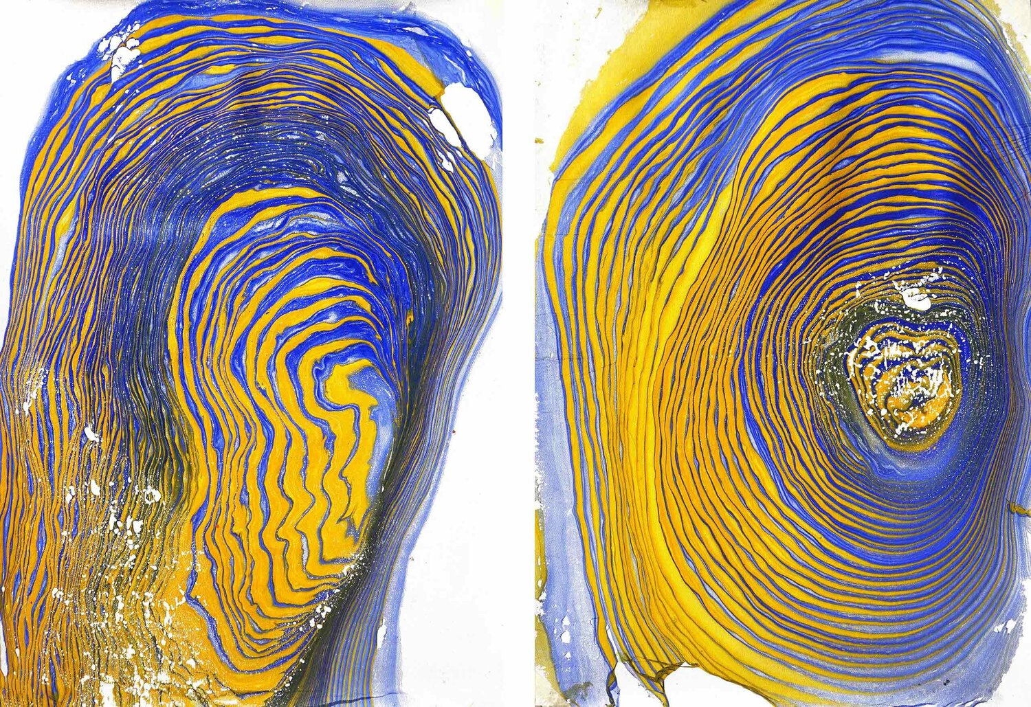 Composition No. 177 Sumit Mehndiratta