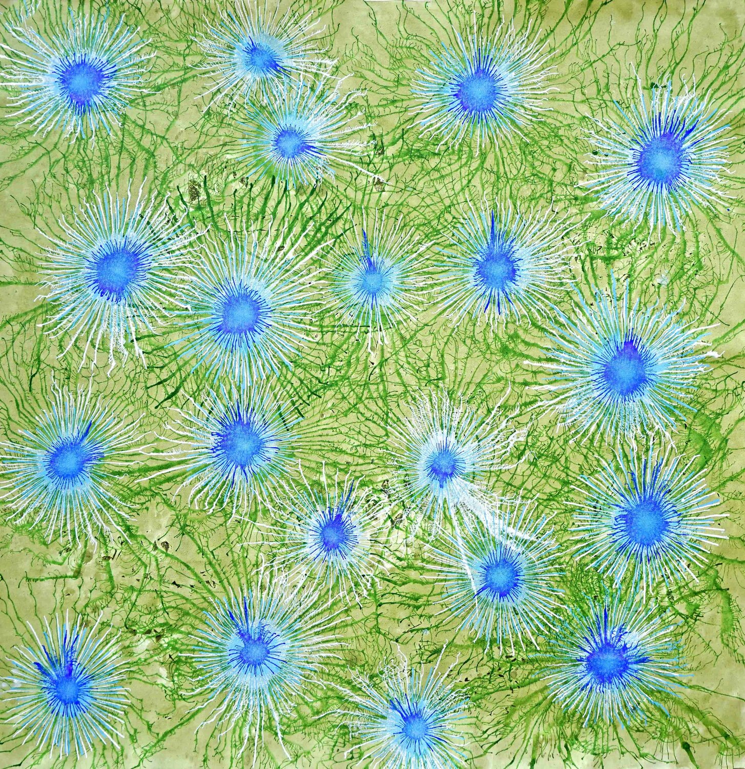 Exploflora Series No. 80 Sumit Mehndiratta