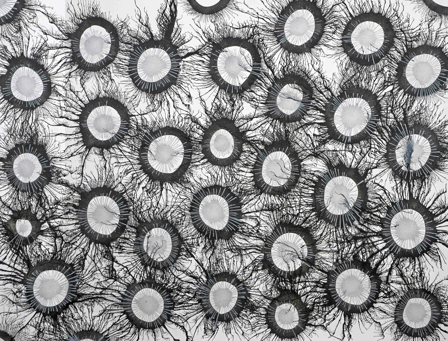 Exploflora Series No. 86 Sumit Mehndiratta