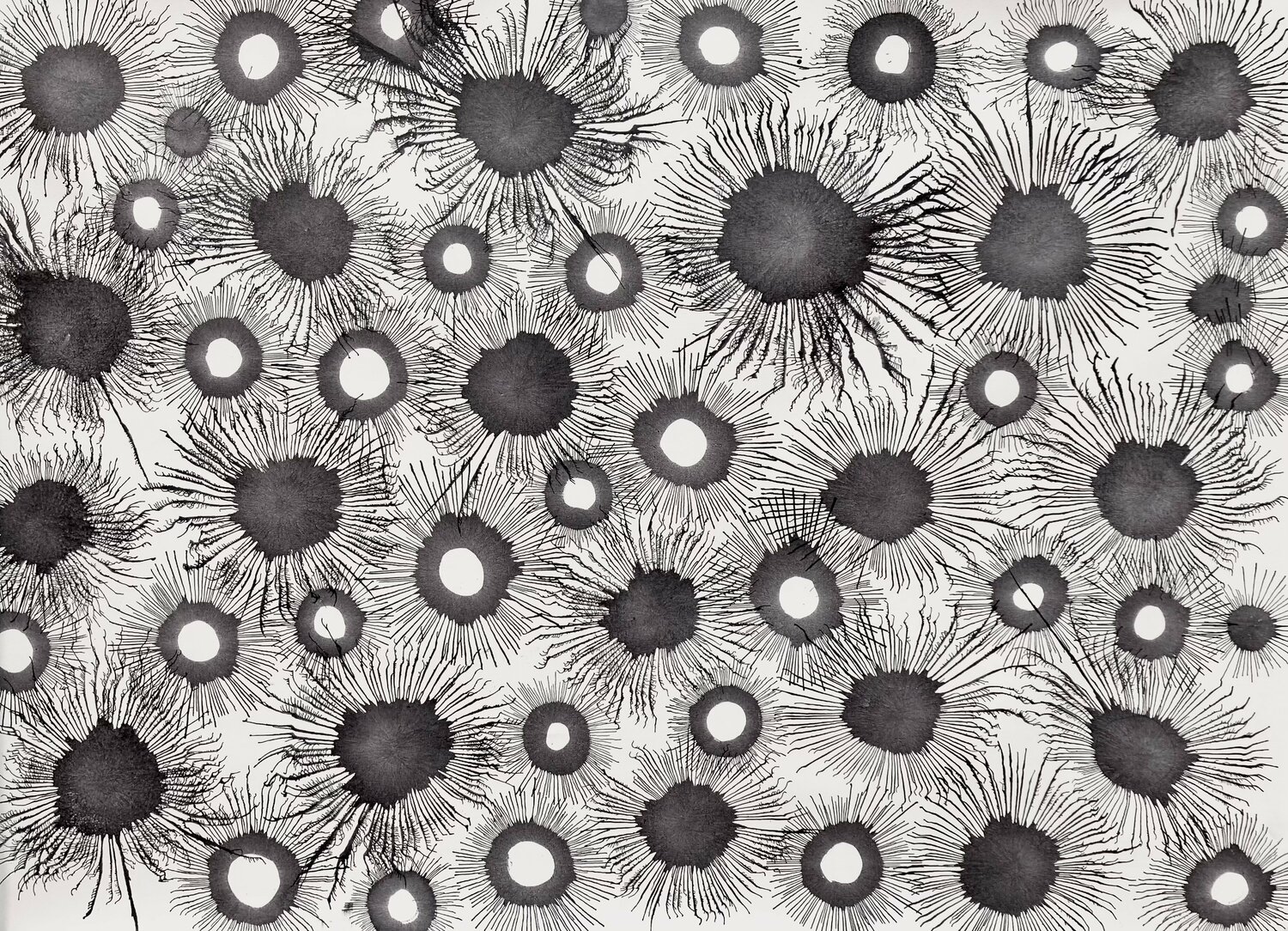 Exploflora Series No. 91 Sumit Mehndiratta