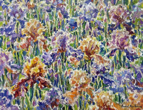Dance of irises Andrey Chebotaru