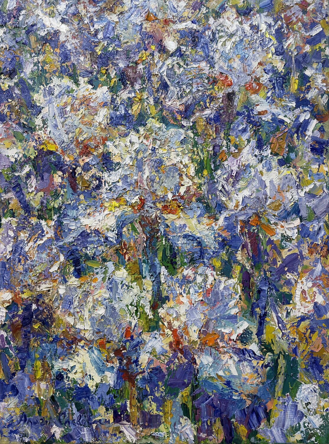 Irises Andrey Chebotaru