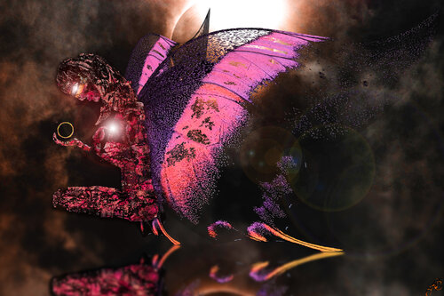 butterfly 11 Jason Lincoln Jeffers