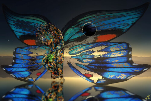 butterfly 17 par Jason Lincoln Jeffers, Digital en vente sur Singulart