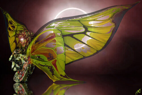 butterfly 23 Jason Lincoln Jeffers