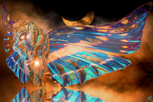 butterfly 26 Jason Lincoln Jeffers