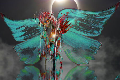 butterfly 27 par Jason Lincoln Jeffers, Digital en vente sur Singulart