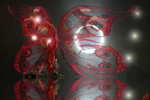 butterfly 30 par Jason Lincoln Jeffers, Digital en vente sur Singulart