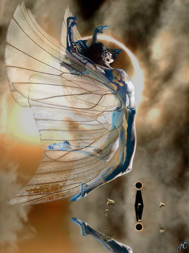 butterfly 41 von Jason Lincoln Jeffers, Digital kaufen auf Singulart