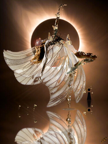 butterfly 46 von Jason Lincoln Jeffers, Digital kaufen auf Singulart
