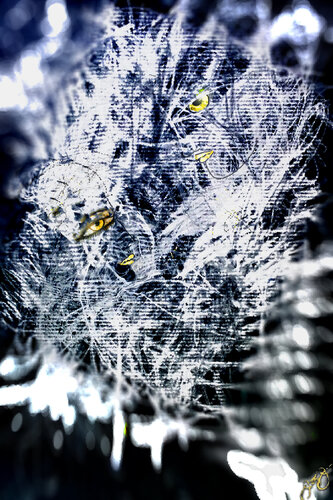 twin souls 3 by Jason Lincoln Jeffers, Digital for Sale on Singulart
