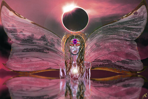 butterfly 15 di Jason Lincoln Jeffers, Digitale in vendita su Singulart
