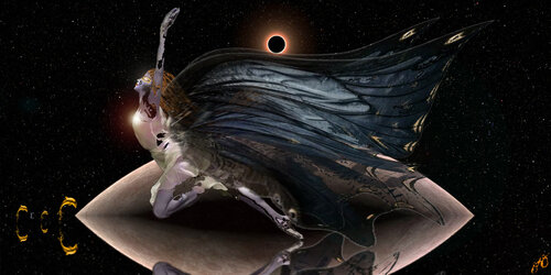 butterfly 54 von Jason Lincoln Jeffers, Digital kaufen auf Singulart