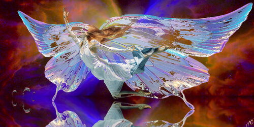 butterfly 56 von Jason Lincoln Jeffers, Digital kaufen auf Singulart