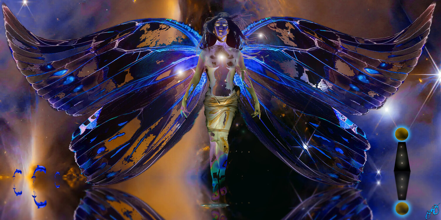 butterfly 53 Jason Lincoln Jeffers