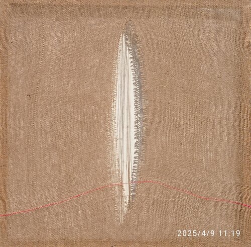 Aprirsi van Giustino Caposciutti, Schilderij te koop op Singulart