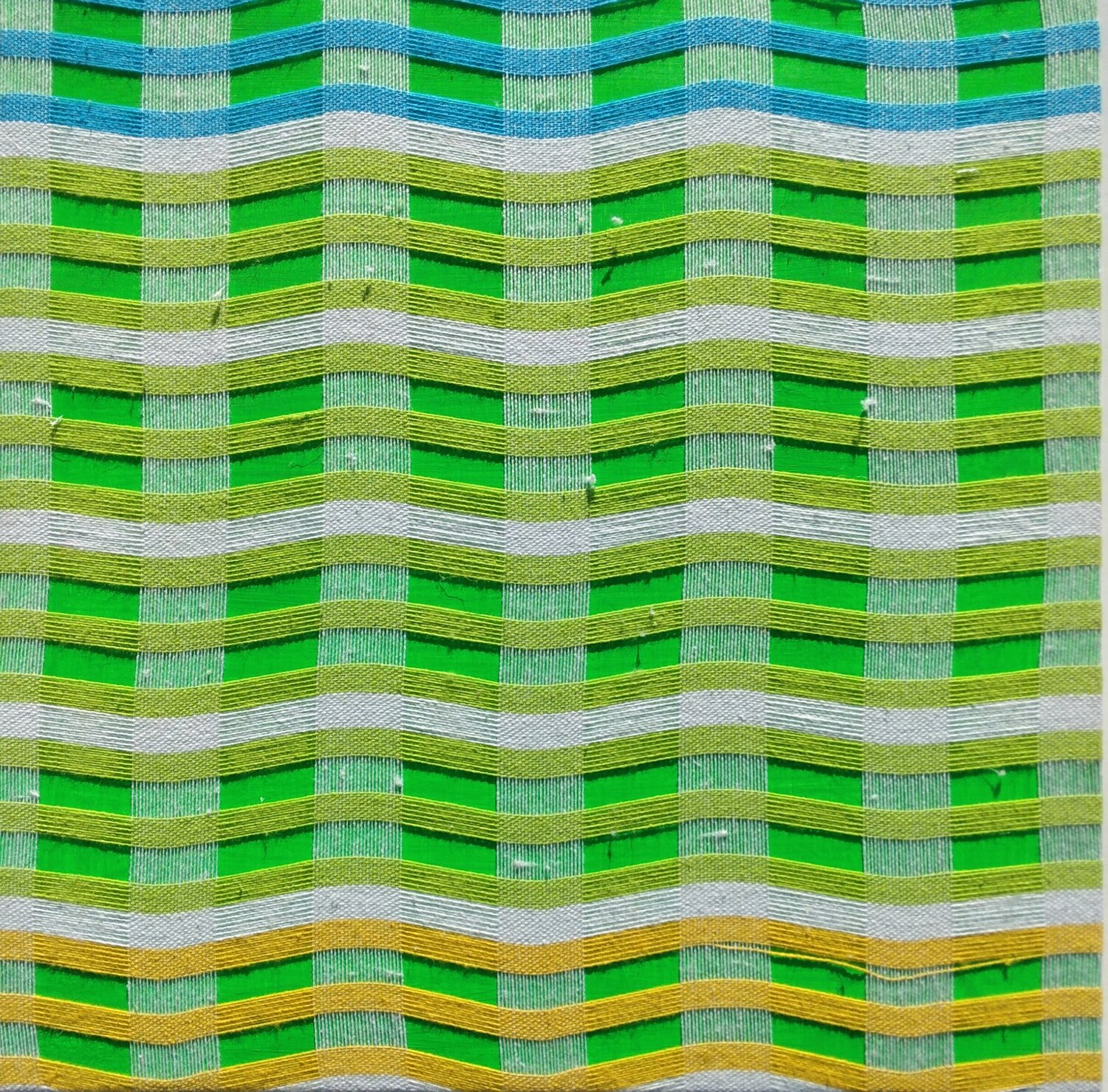 BioSìArt n. 33 Giustino Caposciutti