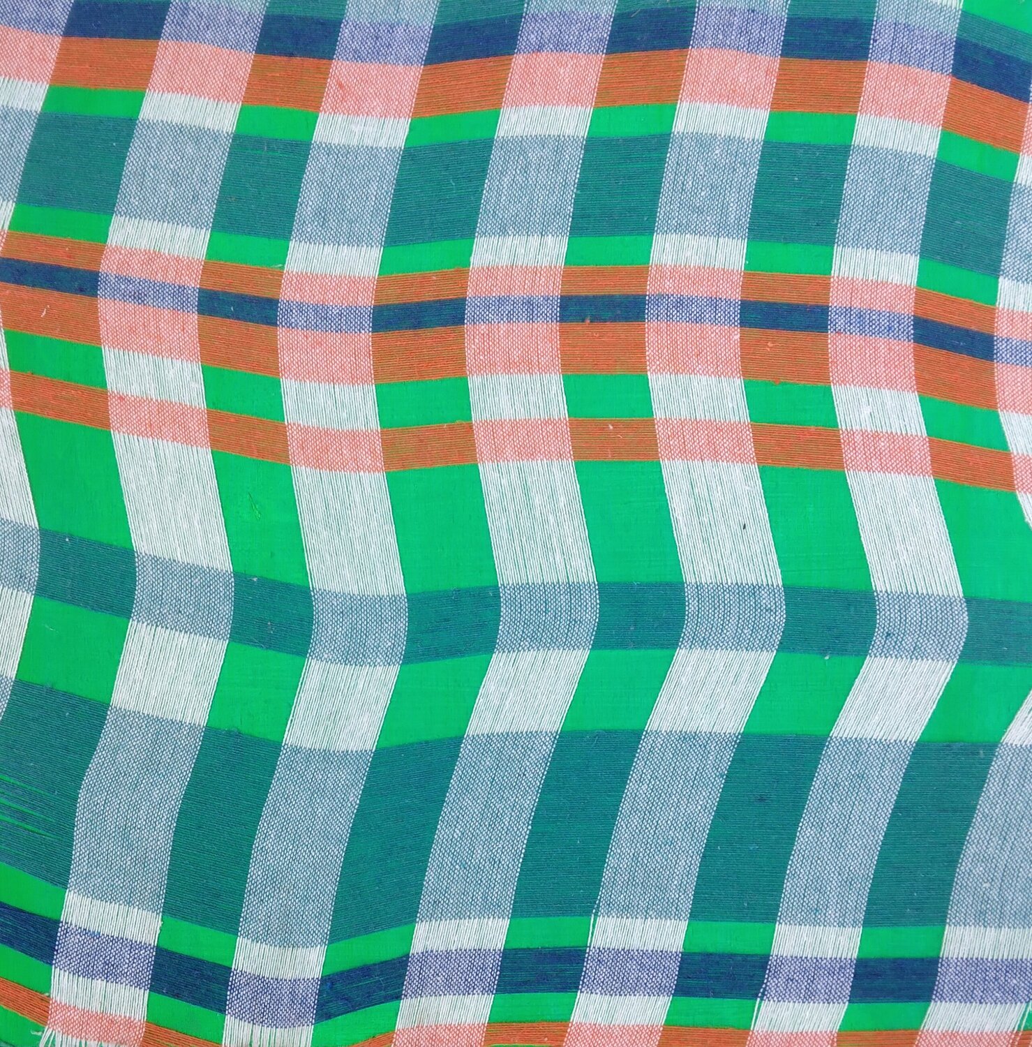 BioSìArt n. 4/23 Giustino Caposciutti