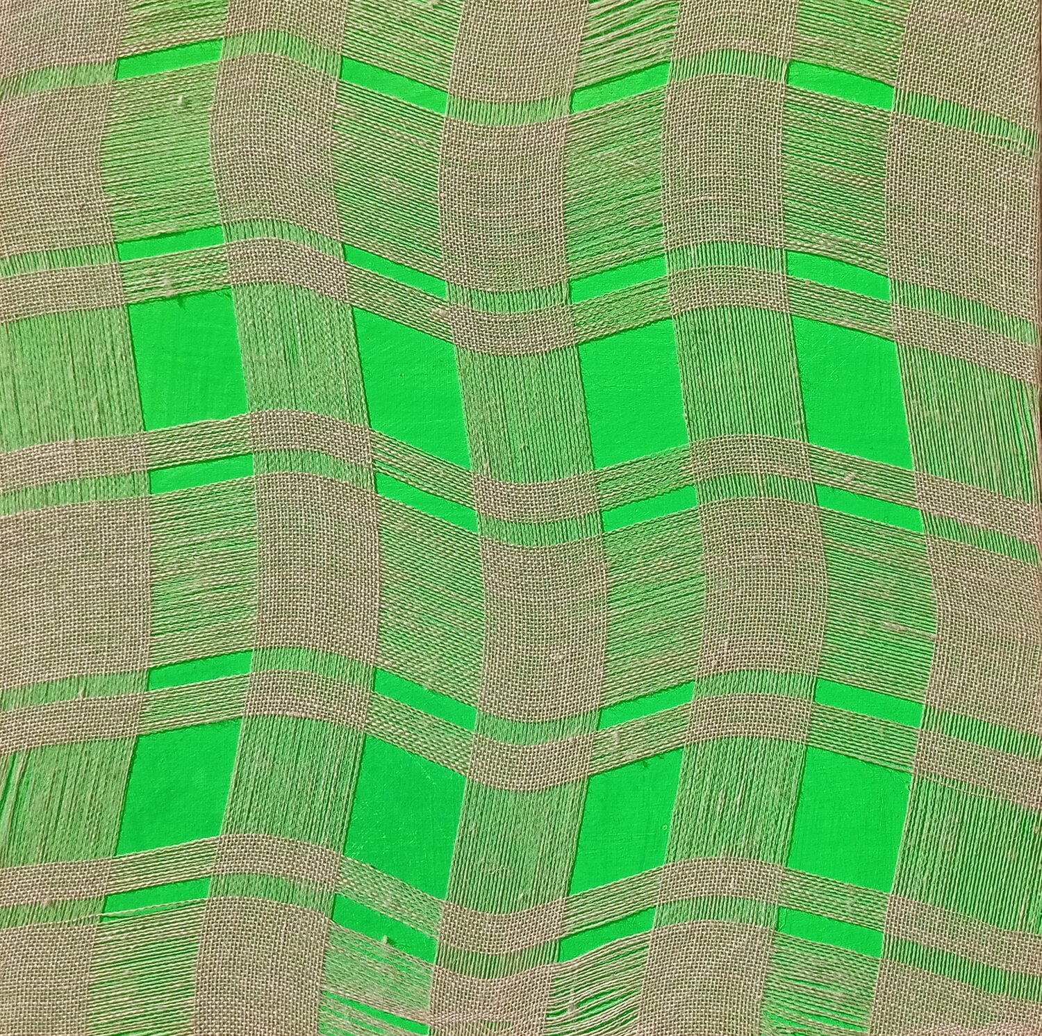 BioSìArt 2015 Giustino Caposciutti
