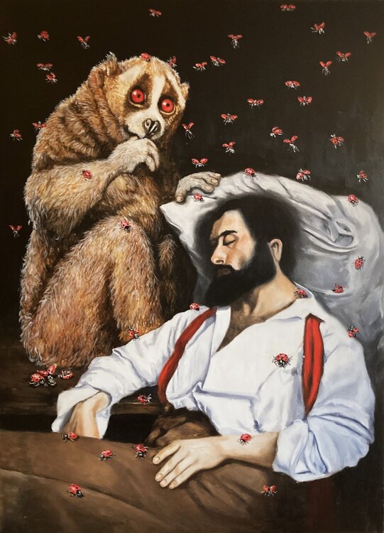 Die Stunde der Marienkäfer Thomas Johannsmeier