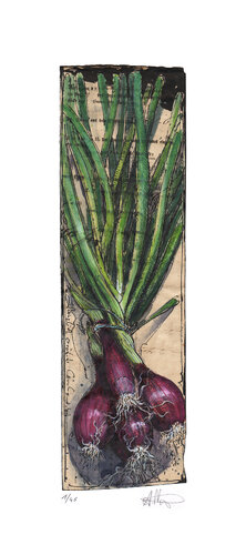 Gänzlich errötete Lauchzwiebel (Completely blushed spring onion) de Andreas Noßmann, Impresión a la venta en Singulart
