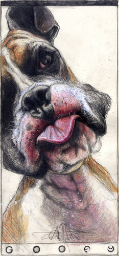 Goofy von Andreas Noßmann, Zeichnungen kaufen auf Singulart
