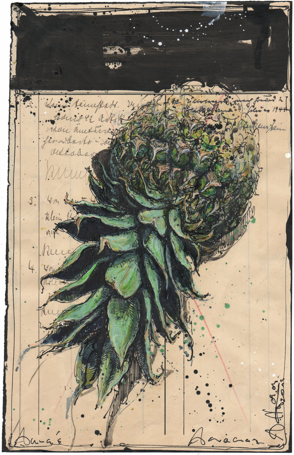 Annas Ananas Andreas Noßmann
