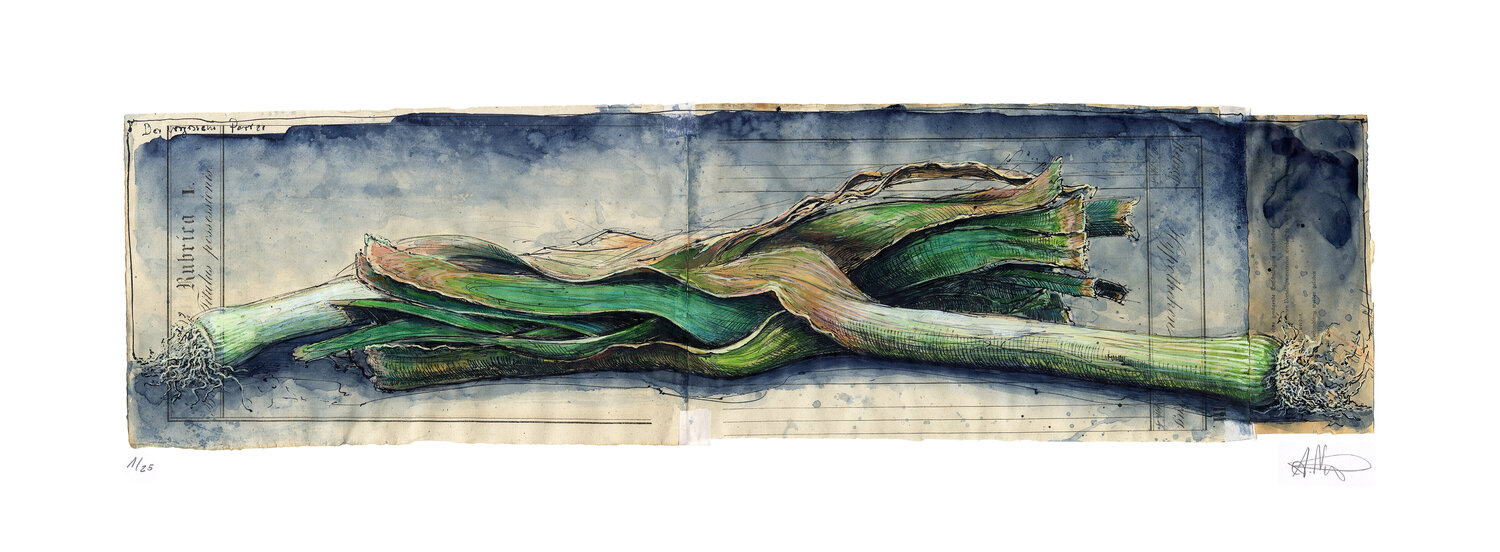 Der vergessene Porree (The forgotten leek) Andreas Noßmann Druck zu verkaufen