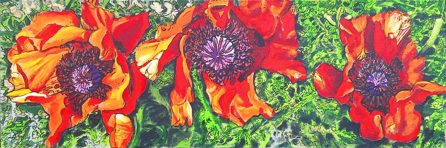 "Mohn Panorama" Matthias Bargholz