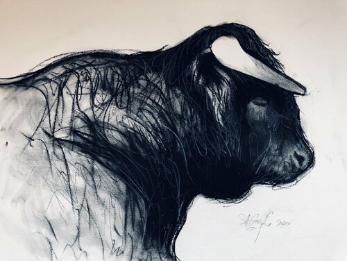 Bull Head Study di Shabs Beigh, Disegno in vendita su Singulart