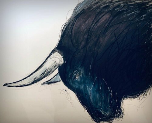 Bull Study 2 von Shabs Beigh, Zeichnungen kaufen auf Singulart