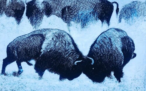 The Bison Rut von Shabs Beigh, Zeichnungen kaufen auf Singulart