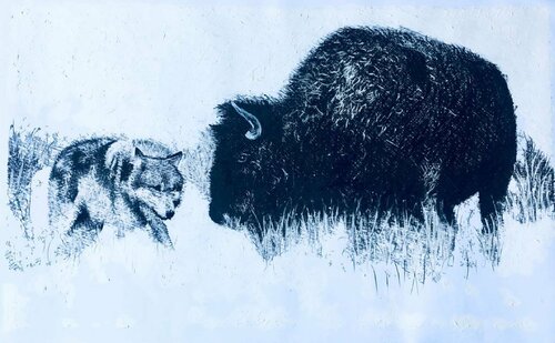 Bison And Wolf von Shabs Beigh, Zeichnungen kaufen auf Singulart