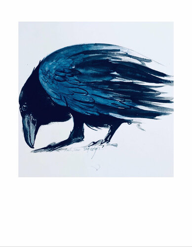 RavenHead von Shabs Beigh, Werk auf Papier kaufen auf Singulart
