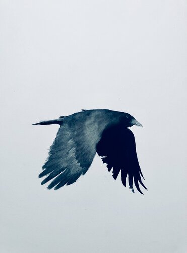 Flight von Shabs Beigh, Werk auf Papier kaufen auf Singulart