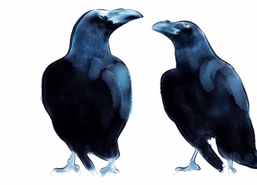 Raven Giclee - Limited Edition Art Print Shabs Beigh