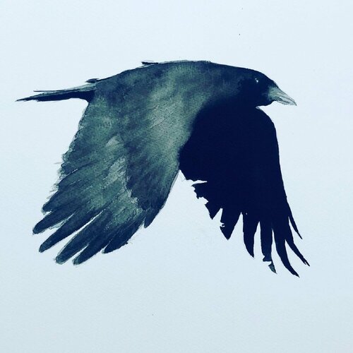 Flight - Limited Edition Print by Shabs Beigh, Print for Sale on Singulart