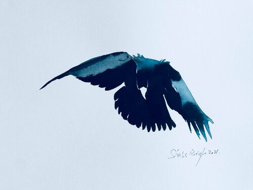 Flight 11 von Shabs Beigh, Werk auf Papier kaufen auf Singulart