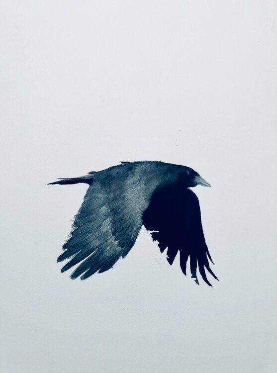 Flight Shabs Beigh