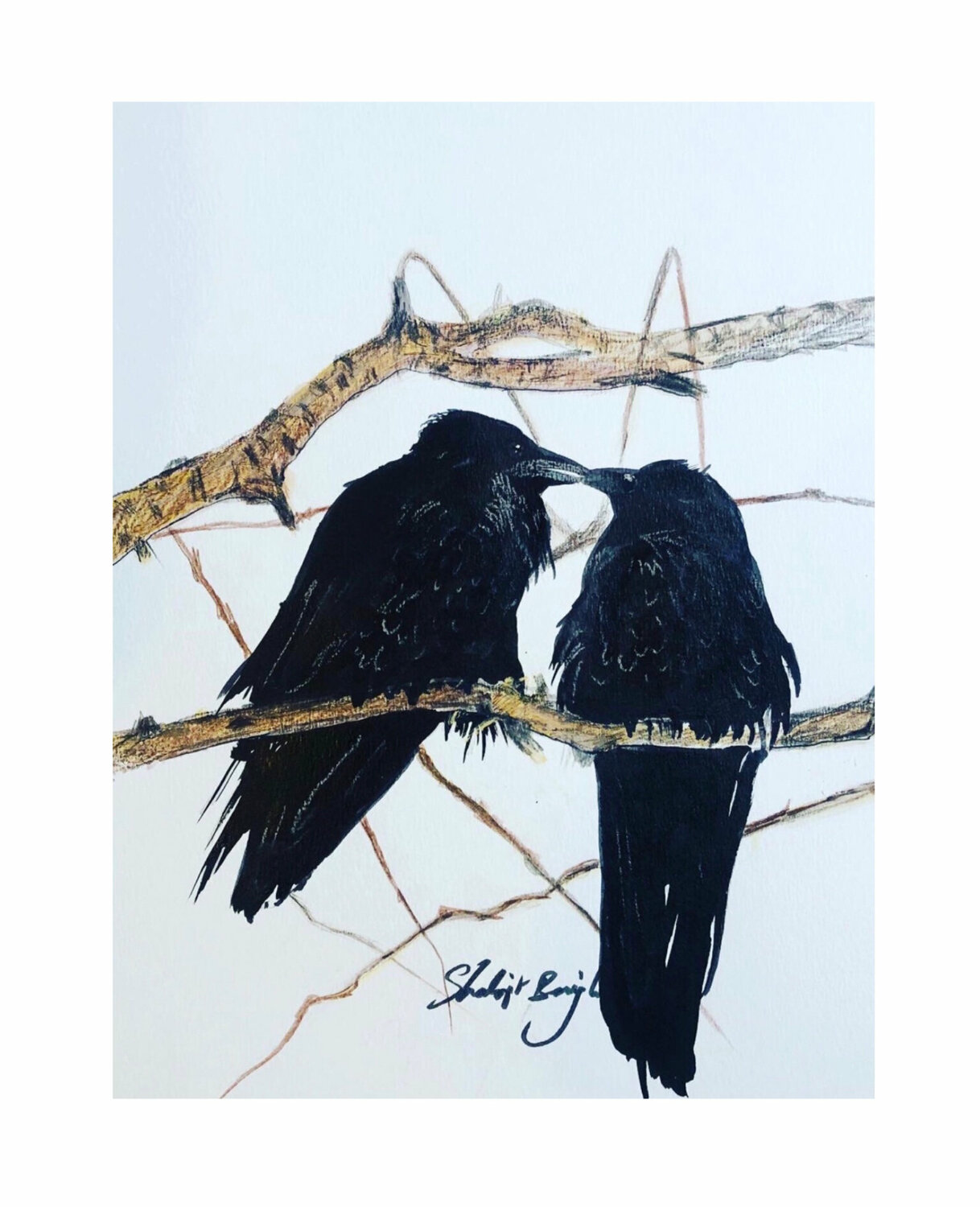 Love Birds Shabs Beigh
