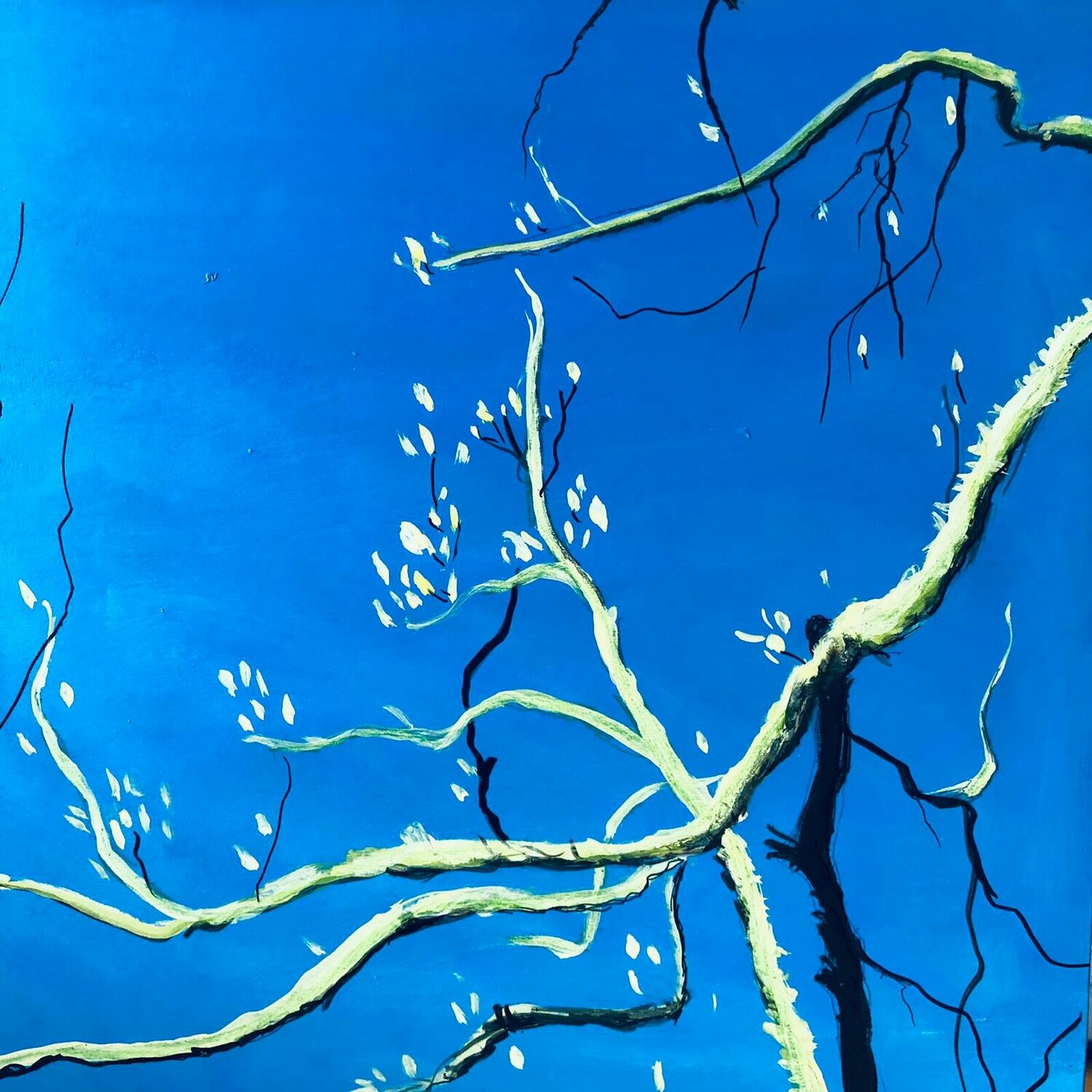 Magnolia In Spring Shabs Beigh