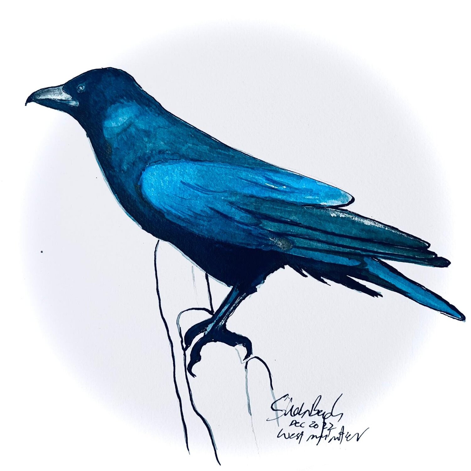 Blue Raven Shabs Beigh