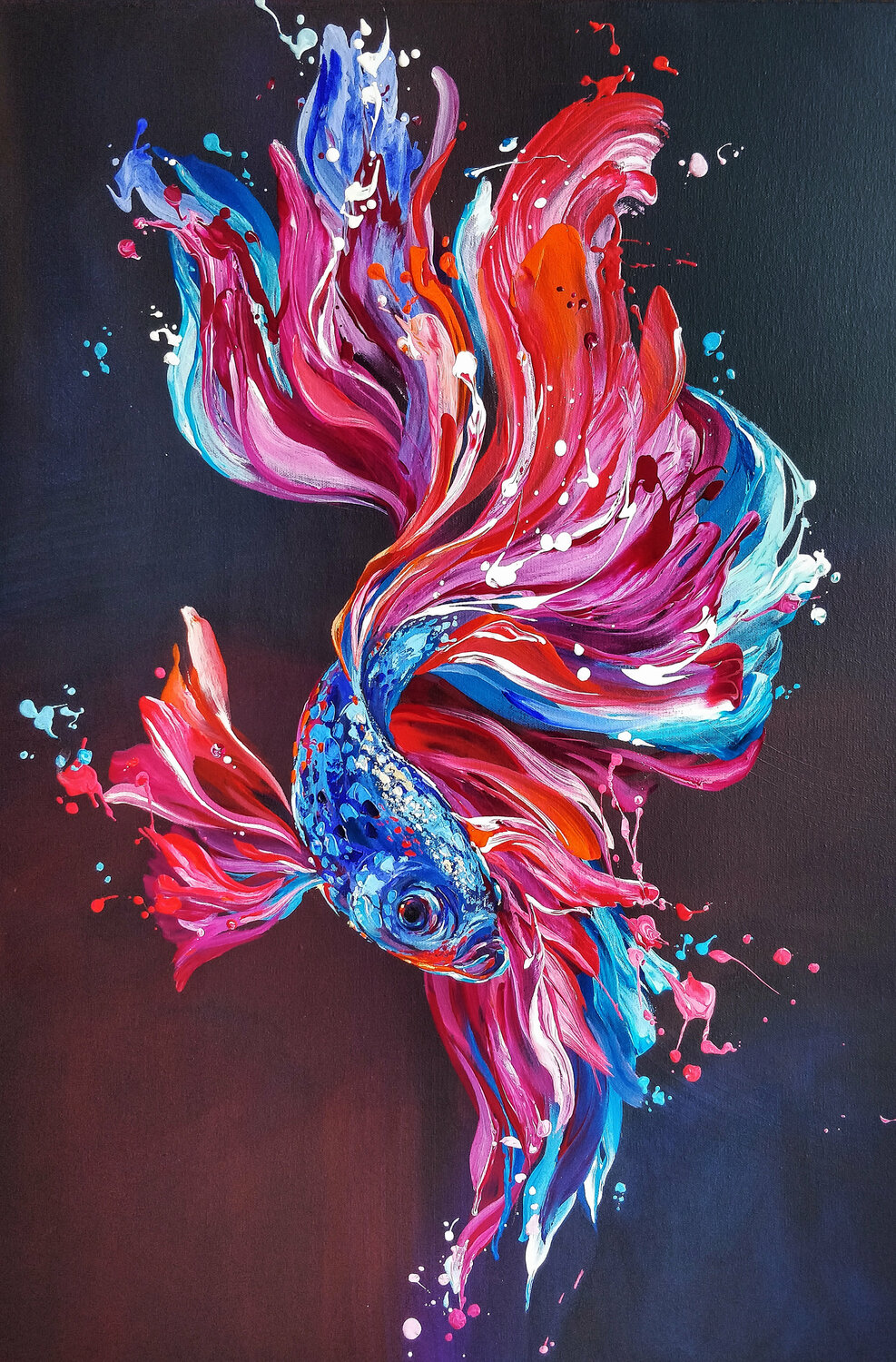 Betta fish Anna Cher