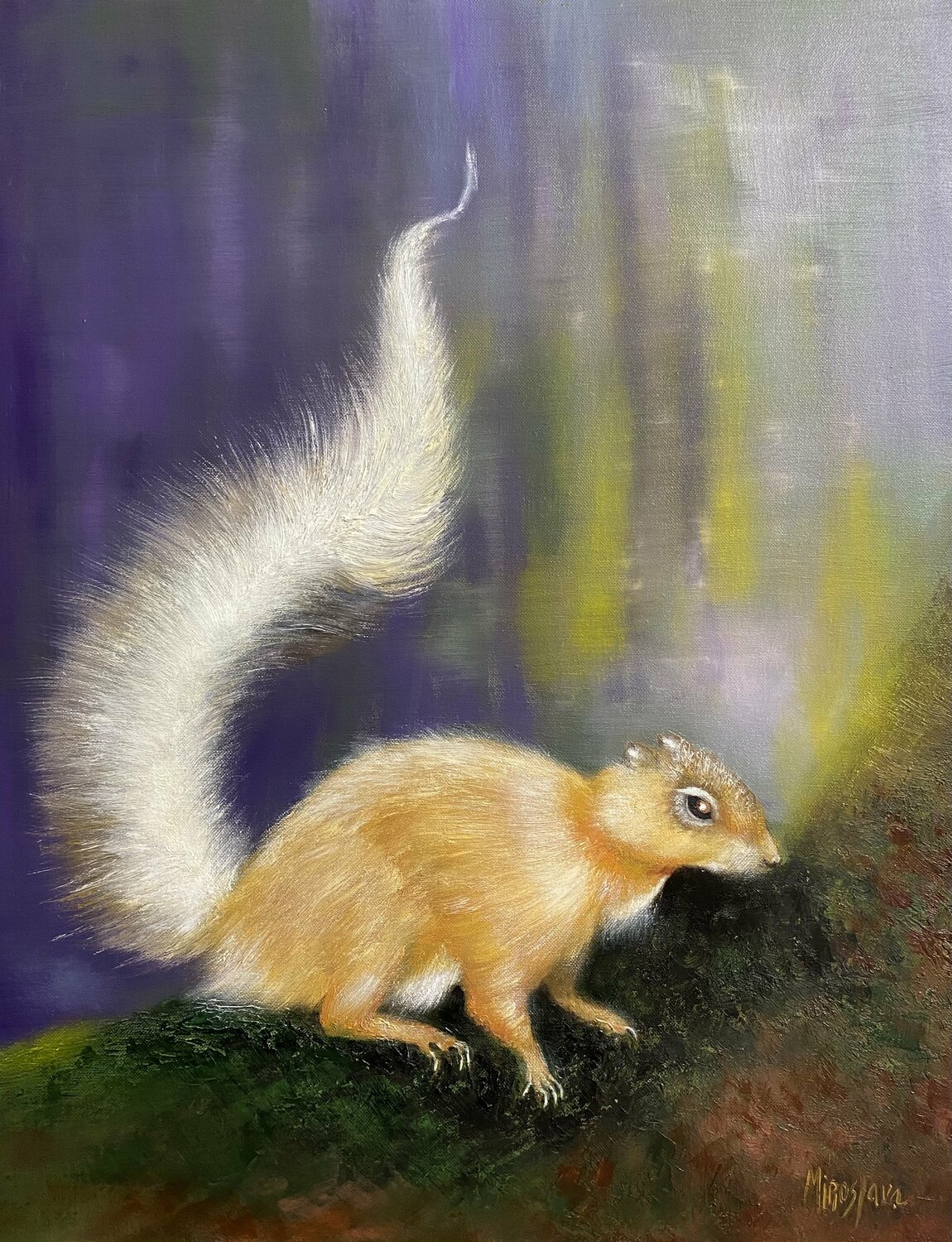Cute Squirrel Miroslava Lipovec Friedman