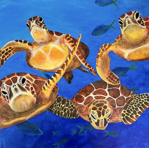 Tortuga David Vall