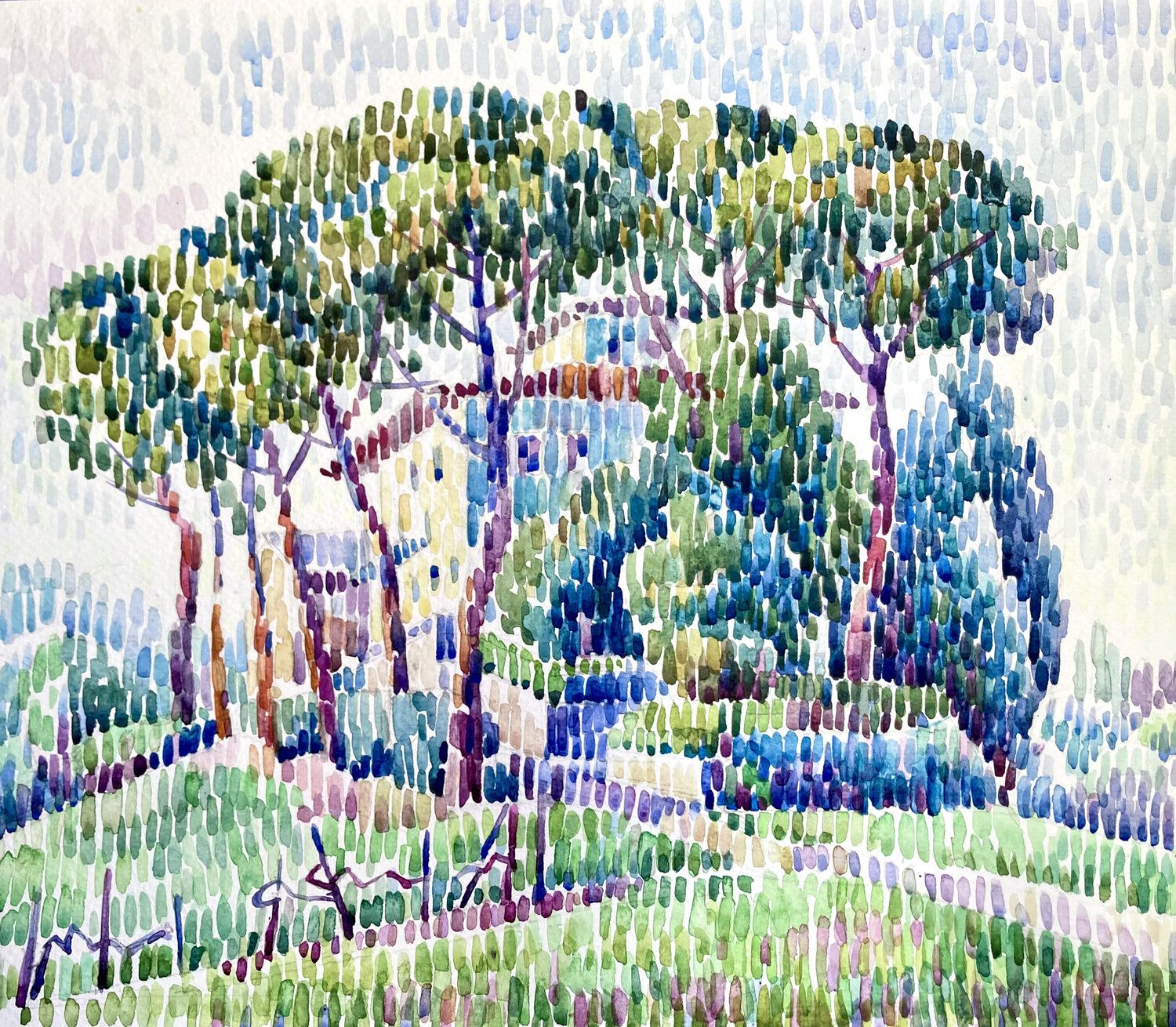Villa in pini Kristina Korò