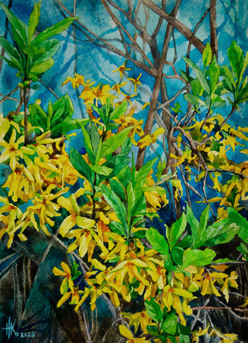Forsythia. Early Spring Blooms di Zhanna Kondratenko, Pittura in vendita su Singulart