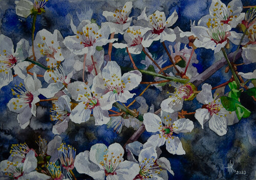 Cherry Blossom van Zhanna Kondratenko, Schilderij te koop op Singulart