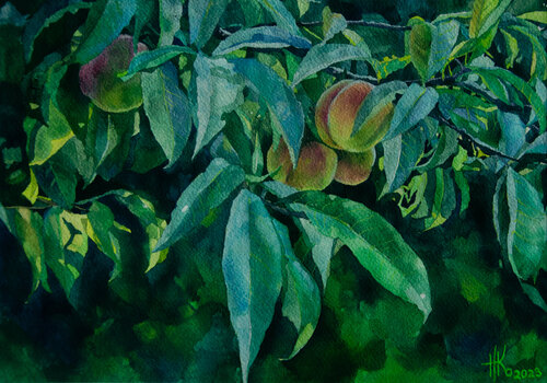 Peach Tree von Zhanna Kondratenko, Malerei kaufen auf Singulart