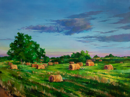 A Cat Among the Hay Bales de Zhanna Kondratenko, Pintura a la venta en Singulart